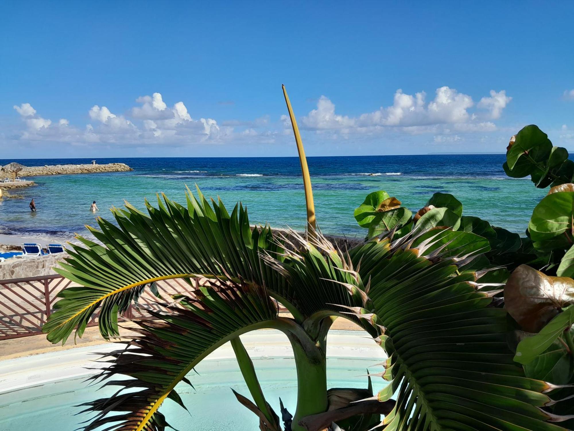 Studio Coeur Passion Vue Mer Charme Et Standing Saint-Francois  Bagian luar foto